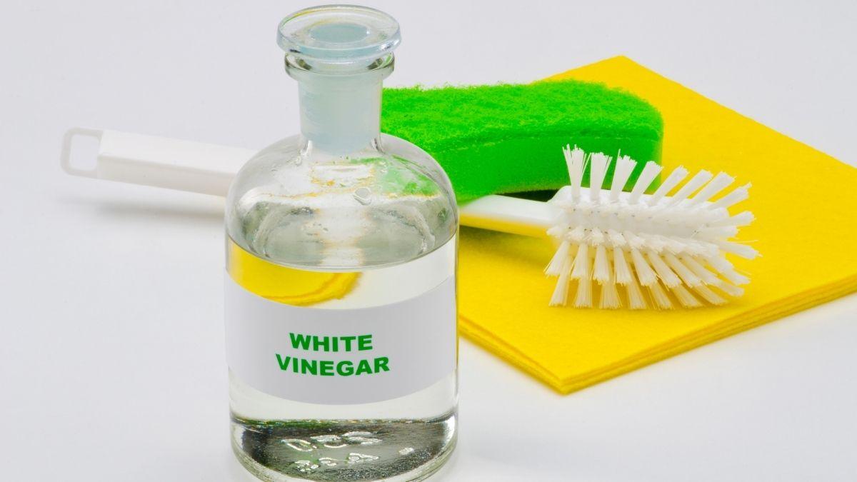 A bottle of Vinegar and brush to be used as a cleaning solution