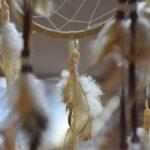 feathers on a dreamcatcher