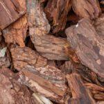 How To Clean Tree Bark For Crafts