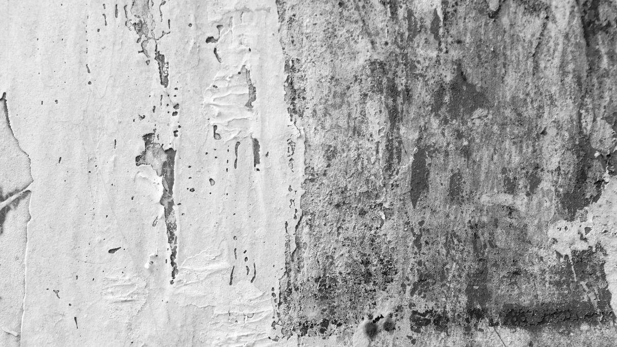 White and grey textured paint