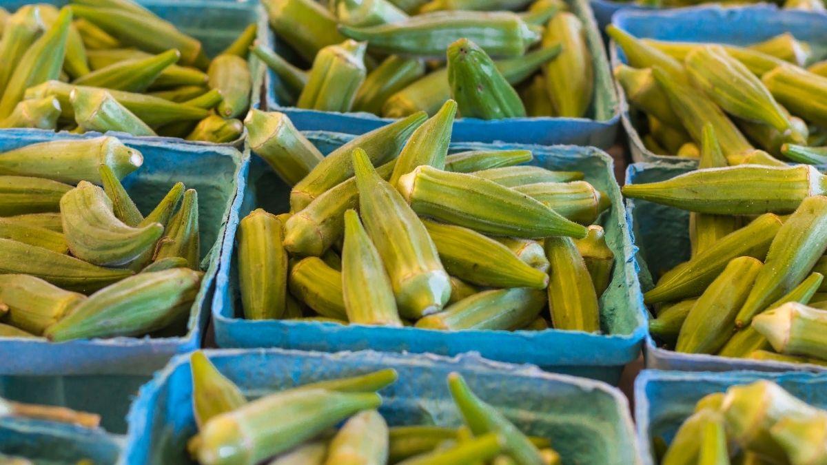 how-to-dry-okra-for-crafts-3-easy-methods-becoming-homegrown