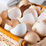 basket of clean egg shells