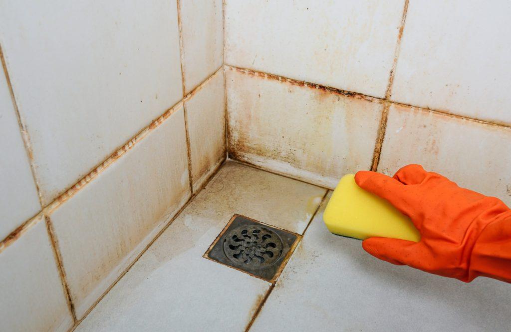 how-to-remove-mold-from-shower-step-by-step-guide