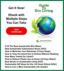 guide to eco living