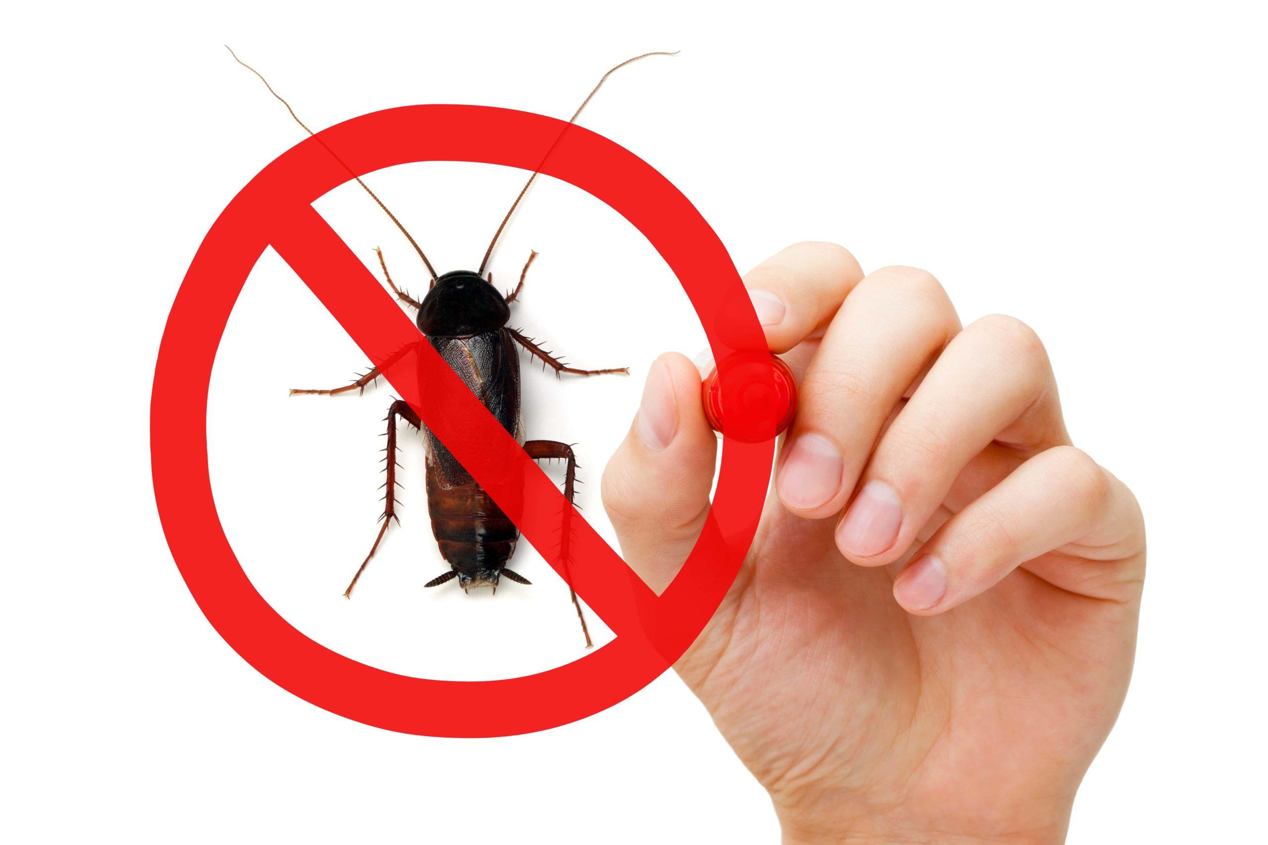 organic pest control products for home