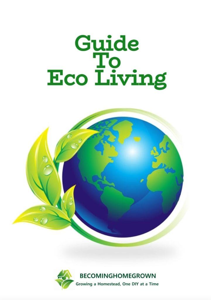 Guide To Eco Living Cover